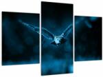 Mivali Tablou cu bufnița zburând, din trei bucăți 90x60 cm (V020478V90603PCS)