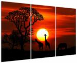 Mivali Tablou - Siluete animalelor la apus de soare, din trei bucăți 120x80 cm (V022600V120803PCS)