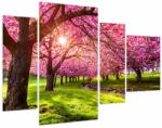 Mivali Tablou - Cireși înfloriți, Hurd Park, Dover, New Jersey (cu ceas), din patru bucăți 110x75 cm cu ceas (V022582V11075C)