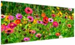 Mivali Tablou cu flori de luncă, dintr-o bucată 250x125 cm (V020352V250125)