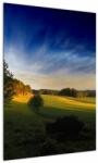Mivali Tablou - Lunca de munte, dintr-o bucată 50x70 cm (V022438V5070)