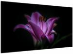 Mivali Tablou crinul, dintr-o bucată 120x70 cm (V021729V12070)