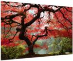 Mivali Tablou - Arțarul japonez roșu, Portland, Oregon, dintr-o bucată 90x60 cm (V023677V9060)