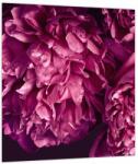 Mivali Tablou - Floarea bujorului, dintr-o bucată 30x30 cm (V023999V3030)