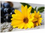Mivali Tablou cu floare galbenă, dintr-o bucată 120x70 cm (V020952V12070)