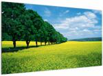 Mivali Tablou - Câmp cu alei, dintr-o bucată 120x70 cm (V023225V12070)