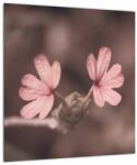Mivali Tablou cu floare roz, dintr-o bucată 40x40 cm (V020375V4040)