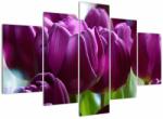 Mivali Tablou cu lalele, din cinci bucăți 150x105 cm (V020308V150105)