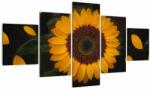 Mivali Tablou - Floarea soarelui și petale, din cinci bucăți 125x70 cm (V021736V12570)