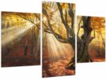 Mivali Tablou - Lumina de toamnă, din trei bucăți 90x60 cm (V023856V90603PCS)