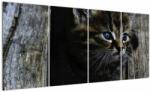 Mivali Tablou cu pisicuța, din patru bucăți 160x80 cm (V020637V16080)