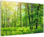 Mivali Tablou - Pădurea cu frunze de primăvară, dintr-o bucată 90x60 cm (V022101V9060)