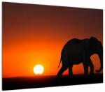 Mivali Tablou cu elefant în apus de soare, dintr-o bucată 70x50 cm (V021976V7050)