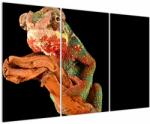 Mivali Tablou cu cameleon pe creangă, din trei bucăți 120x80 cm (V021125V120803PCS)