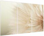 Mivali Tablou - Detaliu flori, din trei bucăți 120x80 cm (V023903V120803PCS)