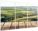 Mivali Tablou - Priveliște peisaj, din trei bucăți 120x80 cm (V023890V120803PCS)