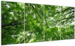 Mivali Tablou - privire în coroanele pomilor, din patru bucăți 160x80 cm (V021918V16080)