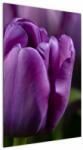 Mivali Tablou cu flori de lalele, dintr-o bucată 60x90 cm (V020215V6090)