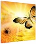 Mivali Tablou - Fluture galben cu flori, dintr-o bucată 70x70 cm (V022521V7070)