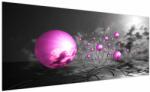 Mivali Tabloul bilelor roz, dintr-o bucată 250x125 cm (V020108V250125)