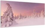 Mivali Tablou pe sticlă - Copaci sub așternut de zăpadă, dintr-o bucată 100x50 cm pe sticlă (V023038V10050GD)