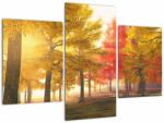 Mivali Tablou cu copaci toamna, din trei bucăți 90x60 cm (V020907V90603PCS)