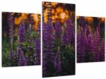 Mivali Tablou - Flori de lupin, din trei bucăți 90x60 cm (V022614V90603PCS)