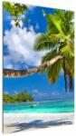 Mivali Tablou - Seychelles, dintr-o bucată 60x90 cm (V023298V6090)