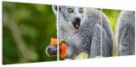Mivali Tablou cu lemur, din trei bucăți 120x40 cm (V021127V12040)