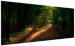 Mivali Tablou cu poteca prin pădure, dintr-o bucată 250x125 cm (V020253V250125)