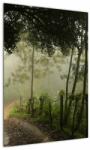 Mivali Tablou cu ceața de dimineața, dintr-o bucată 50x70 cm (V021373V5070)