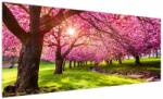 Mivali Tablou - Cireși înfloriți, Hurd Park, Dover, New Jersey, dintr-o bucată 250x125 cm (V022582V250125)