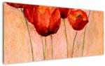 Mivali Tablou - Lalele roșii, dintr-o bucată 120x50 cm (V023505V12050)
