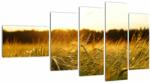 Mivali Tablou iarba cu rouă, din cinci bucăți 110x60 cm (V020584V11060)