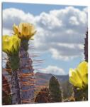 Mivali Tablou cu floarea de cactus Opunție, dintr-o bucată 30x30 cm (V021553V3030)
