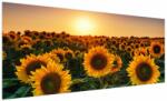 Mivali Tablou - Floarea soarelui, dintr-o bucată 250x125 cm (V022507V250125)