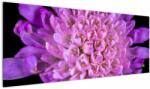 Mivali Tablou detailat cu floare, dintr-o bucată 145x58 cm (V020318V14558)