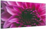Mivali Tablou pe sticlă cu floarea roz, dintr-o bucată 100x50 cm pe sticlă (V020010V10050GD)