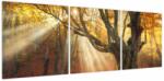 Mivali Tablou - Lumina de toamnă, din trei bucăți 120x40 cm (V023856V12040)