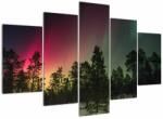 Mivali Tablou cu Northern Lights, din cinci bucăți 150x105 cm (V021102V150105)