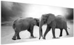 Mivali Tablou cu elefanți, dintr-o bucată 250x125 cm (V020900V250125)