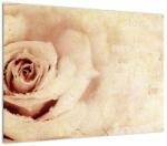Mivali Tablou pe sticlă - floare de trandafir pentru îndrăgostiți, dintr-o bucată 70x50 cm pe sticlă (V021945V7050GD)