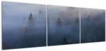 Mivali Tablou - Pădure în ceță, Carpați, Ucraina, din trei bucăți 150x50 cm (V023077V15050)