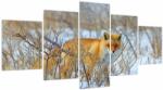Mivali Tablou - Vulpe, din cinci bucăți 150x80 cm (V023861V150805PCS)