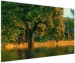 Mivali Tablou cu girafe în natură, dintr-o bucată 150x100 cm (V020841V150100)