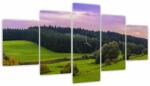 Mivali Tablou cu lunca (cu ceas), din cinci bucăți 150x80 cm cu ceas (V020343V15080C)