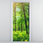 Mivali Fototapet pentru ușă - Pădure de foioase de primăvară (D022101D95205)