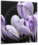 Mivali Tablou - Crocus violet (cu ceas), dintr-o bucată 30x30 cm cu ceas (V022589V3030C)
