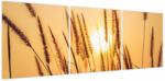 Mivali Tablou - Iarbă la soare, din trei bucăți 120x40 cm (V023922V12040)