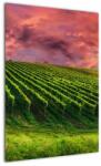 Mivali Tablou cu vie cu cerul color, dintr-o bucată 50x70 cm (V020336V5070)